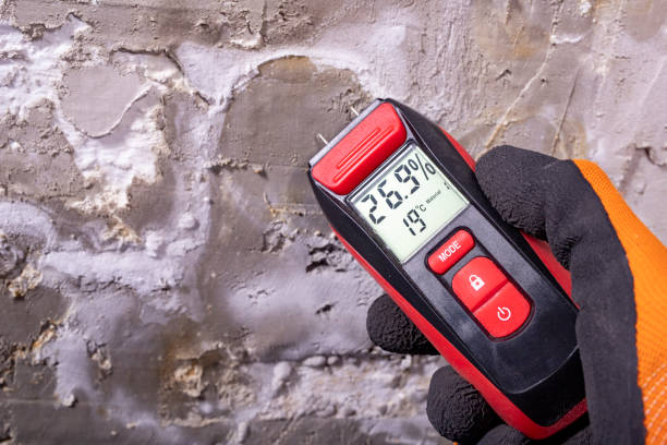 Best Mold Remediation Services  in Lake Linden, MI