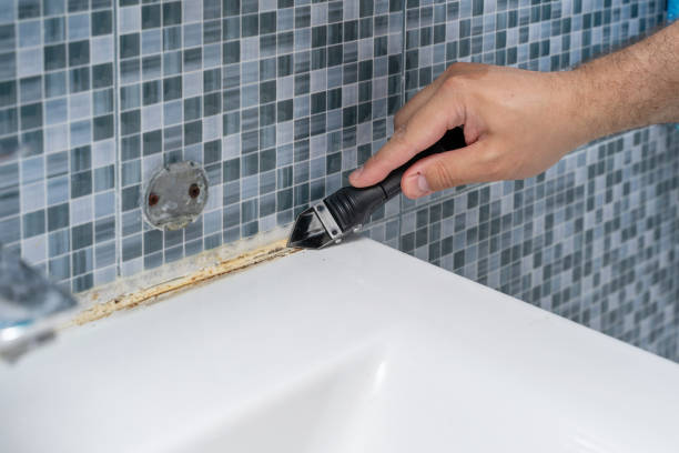 Best Mold Removal Company Near Me  in Lake Linden, MI