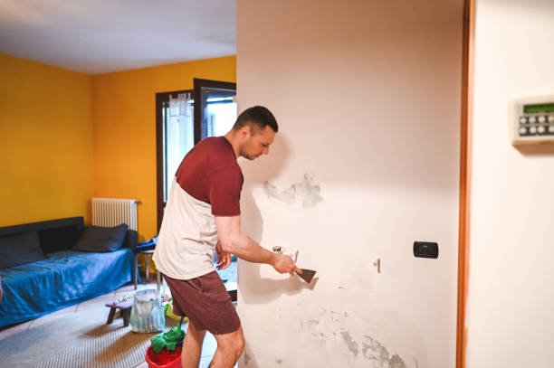 Best Black Mold Removal  in Lake Linden, MI