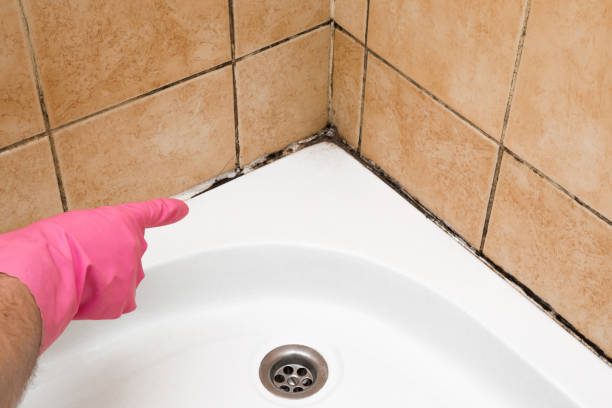 Best Professional Mold Removal  in Lake Linden, MI